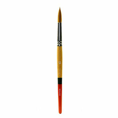 Picture of Darice Round Paintbrush - Gold Taklon - Multicolored - Size 12