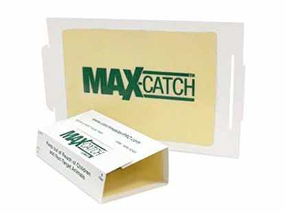 Picture of Catchmaster 72MAX Pest Trap, 36Count, White