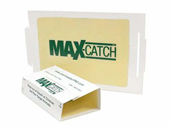 Picture of Catchmaster 72MAX Pest Trap, 36Count, White