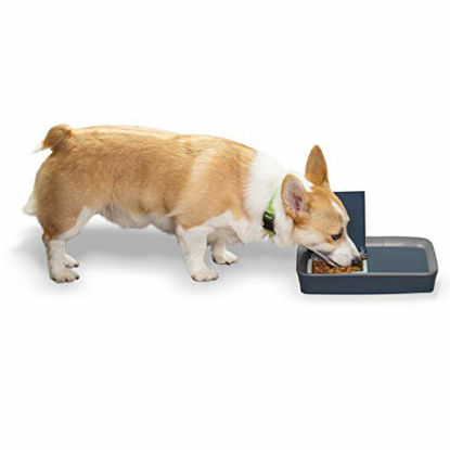 Picture of PetSafe Digital 2 Meal Pet Feeder, Programmable Automatic Cat and Dog Food Dispenser, Tamper-Resistant, Portion Control, Dry or Semi-Moist Food or Treats, 1.5 Cups per Tray, 3 Cups Total Capacity