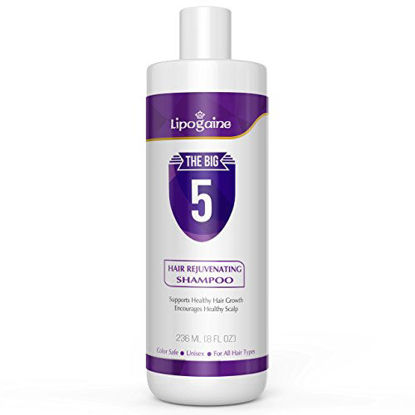 Picture of Lipogaine Big 5 Hair Stimulating Shampoo for Hair Thinning & Breakage, for All Hair Types, Men and Women, Infused With Biotin, Caffeine, Argan Oil, Castor oil and Saw Palmetto (Purple)