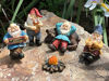 Picture of GlitZGlam Happy Gnomes Camp - 6 Piece Garden Gnome Set for The Miniature Fairy Garden