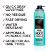 Picture of L'Oreal Paris Magic Root Cover Up Gray Concealer Spray Black 2 oz.(Packaging May Vary)