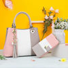 Picture of Pomelo Best Handbags for Women with Shoulder Strap in Pretty Colors Combination
