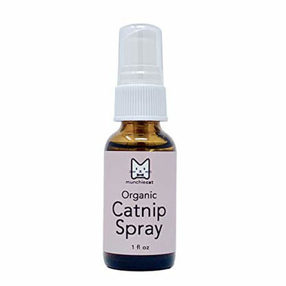 Picture of munchiecat Organic Catnip Spray for Cats, USA Grown, Potent Liquid Cat Nip in 1 oz Bottle (1 oz)