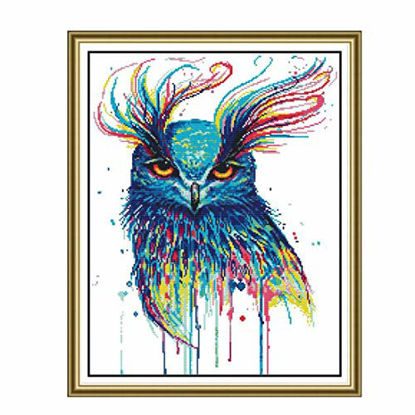 Picture of Haoun Stamped Cross Stitch Kits, Cross-Stitching Pattern for Wall Decor, 11CT 3 Strands Embroidery Crafts Needlepoint Kits for Beginner Kids Adults,19.68 x 24.40 Inch Frameless- Colorful Owl