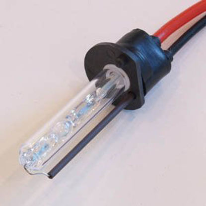 Picture of XenTec H1 6000K HID Xenon Bulb (1 Pair, Ultra White color)