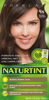 Picture of Naturtint Permanent Hair Color 4N Natural Chestnut (Pack of 1), Ammonia Free, Vegan, Cruelty Free, up to 100% Gray Coverage, Long Lasting Results