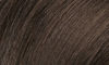 Picture of Naturtint Permanent Hair Color 4N Natural Chestnut (Pack of 1), Ammonia Free, Vegan, Cruelty Free, up to 100% Gray Coverage, Long Lasting Results