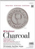 Picture of Strathmore (560-1 500 Series Charcoal Pad, 9"x12", 24 Sheets