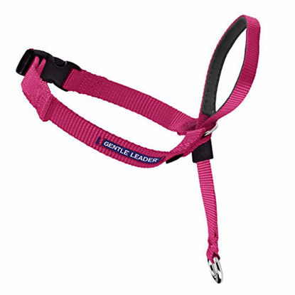 Picture of PetSafe Gentle Leader Head Collar with Training DVD, MEDIUM 25-60 LBS., RASPBERRY PINK