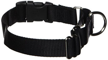 Picture of PetSafe Martingale Collar with Quick Snap Buckle, 1" Medium, Black