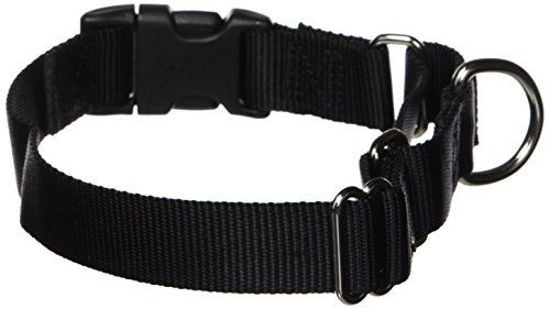 Petsafe martingale dog collar with quick snap buckle shop