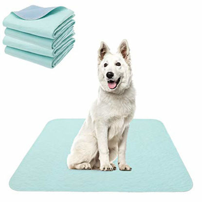 Picture of KOOLTAIL Washable Pee Pads for Dogs - Waterproof Dog Mat Non-Slip Puppy Potty Training Pads, Reusable Whelping Pads for Dog Crate PlayPen