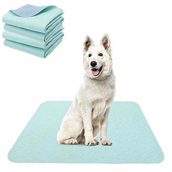 KOOLTAIL Dog Mat for Food and Water Bowls