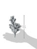 Picture of Penny Black Series Slapstick/Cling 40-560 Berry Speckled