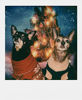 Picture of Polaroid Originals Color Film for 600 (4670)