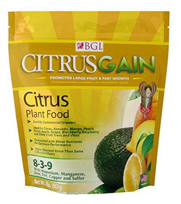 Picture of BGI Fertilizers Citrusgain Bag, Citrus Fertilizer, Citrus Plant Food, 2 lb