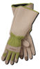 Picture of Magid Glove & Safety BE194TL Rose Pruning Gardening Gloves, 1 Pair, Tan & Green