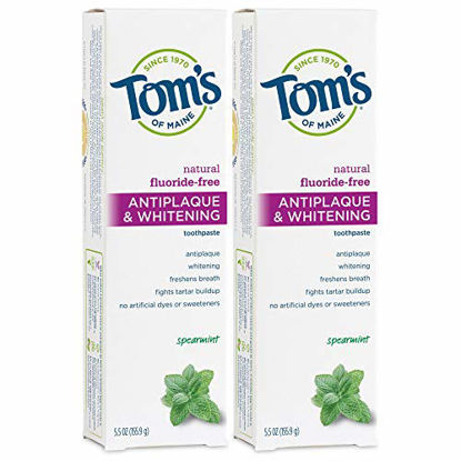 Picture of Tom's of Maine Fluoride-Free Antiplaque & Whitening Natural Toothpaste, Spearmint, 5.5 oz. 2-Pack