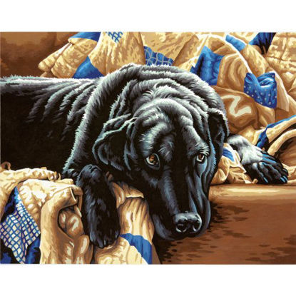 Picture of Dimensions Dog Guilty Pleasures Paint by Numbers for Adults, 14'' W x 11'' L