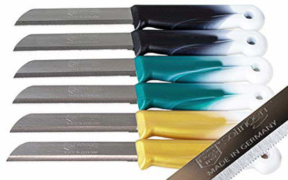 Picture of SMI 6 pcs - Professional Vegetable knife Set Serrated Fruit Knife Set of 6 Kitchen Knife Multi Color Fixed Blade Knife, German Steel Solingen Semi Flexible