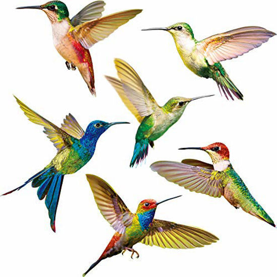 Picture of 6 Pieces Large Size Hummingbird Window Clings Anti-Collision Window Clings Decals to Prevent Bird Strikes on Window Glass Non Adhesive Vinyl Cling Hummingbird Stickers