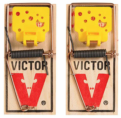 Picture of Victor M035 Easy Set Mouse Traps 2 Count