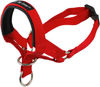 Picture of Dog Head Collar Halter Red 6 Sizes (M: 8.25"-10.25" Snout)