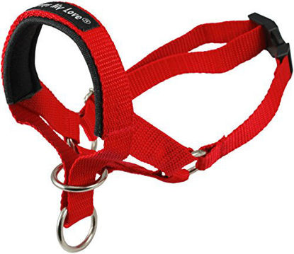 Picture of Dog Head Collar Halter Red 6 Sizes (XL: 12.25"-15.25" Snout)