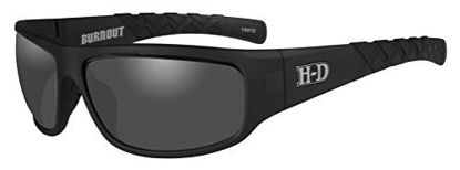 Picture of Harley-Davidson Mens Burnout H-D Sunglasses, Smoke Gray Lens/Black Frame HABNT02