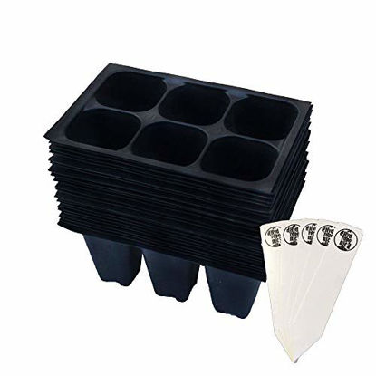 Picture of Seedling Starter Trays, 144 Cells (24 Trays - 6 Cells Per Tray) + THCity Stakes