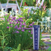 Picture of AcuRite 00850A2 5-Inch Capacity Easy-Read Magnifying Rain Gauge, Blue,12.5-inch