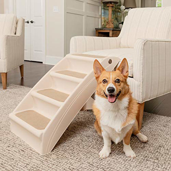 Best stairs for clearance small dogs