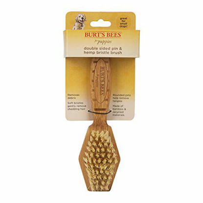 Picture of Burt's Bees for Dogs Double Sided Pin & Hemp Bristle Dog Brush | Best All-Purpose Dog Brush To Reduce Shedding | Great for All Small Dogs And Puppies | Ideal for Daily Grooming