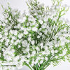 Picture of YSBER 15Pcs Baby Breath/Gypsophila Artificial Fake Silk Plants Wedding Party Decoration Real Touch Flowers DIY Home Garden (White-15PCS)