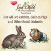 Picture of Kaytee Food from The Wild Natural Snack, 1 Ounce