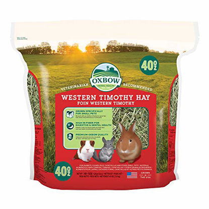 Picture of Oxbow Animal Health Western Timothy Hay - All Natural Hay for Rabbits, Guinea Pigs, Chinchillas, Hamsters & Gerbils - 40 oz.
