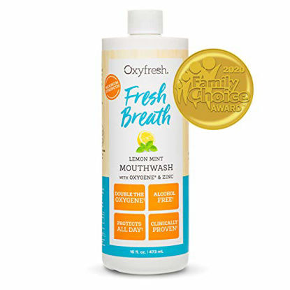 Picture of Oxyfresh Fresh Breath Lemon Mint Mouthwash | Award-Winning, Dentist-Recommended Bad Breath Mouthwash - Alcohol & Fluoride Free w/ Aloe & Natural Essential Oils (1- 16 oz Bottle)