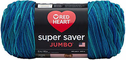 Picture of Red Heart Super Saver Jumbo E302C, Macaw