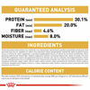 Picture of Royal Canin Persian Breed Dry Kitten Food, 3 lb.