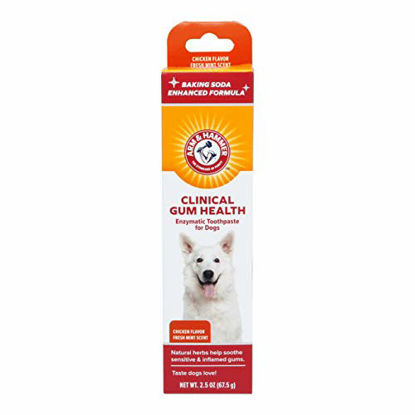 Picture of Arm & Hammer Clinical Care Dental Enzymatic Toothpaste for Dogs | Soothes Inflamed Gums | Safe for Puppies, Chicken Flavor