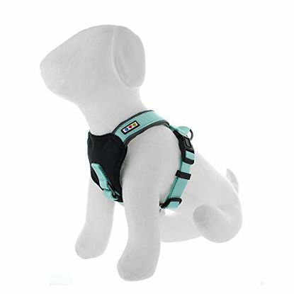 Picture of Pawtitas Padded Harness Puppy Harness Dog Harness Reflective Harness Behavioral Harness Training Harness Extra Extra Small Harness Teal Harness