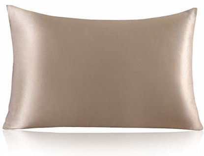 Picture of ZIMASILK 100% Mulberry Silk Pillowcase for Hair and Skin,with Hidden Zipper,Both Side 19 Momme Silk,600 Thread Count, 1pc (Queen 20''x30'', Taupe)