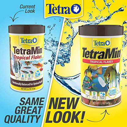 Tetra TetraCichlid Fish Food Flakes, 5.65 oz