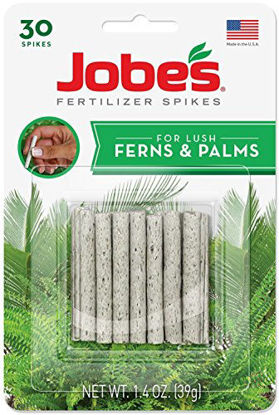 Picture of Jobe's 05101 Fern & Palm Fertilizer Spikes, 30 per Blister Pack