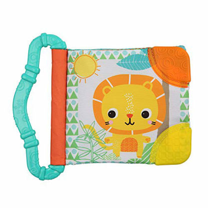 Picture of Bright Starts Teethe & Read Toy, Style May Vary