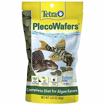 Picture of Tetra PlecoWafers 3.03 Ounces, Nutritionally Balanced Fish Food For Algae Eaters (679345)