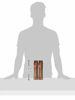 Picture of BRAZILIAN BLOWOUT Shampoo and Conditioner Duo Set
