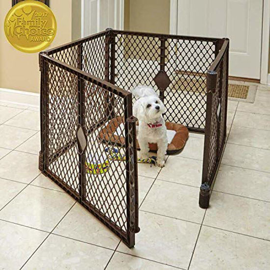 North states shop my pet